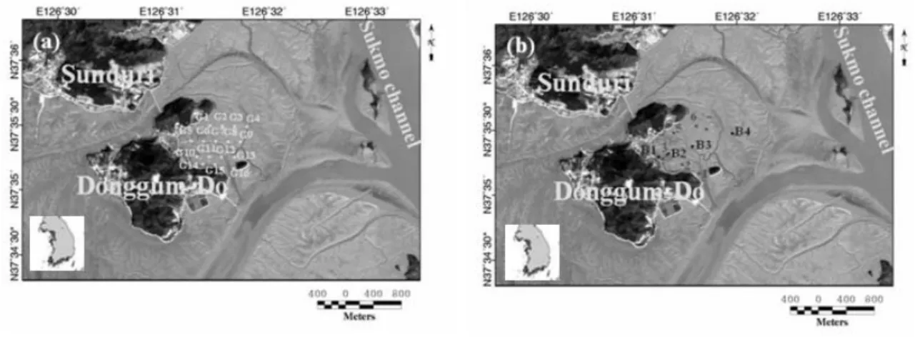 Fig.  1  Location  map  showing  (a)  sampling  stations(G)  of  surface  sediments  and  (b)  11  stations(1-7,  B1-B4)  for  measurements  of  short-term  sediment  accumulation