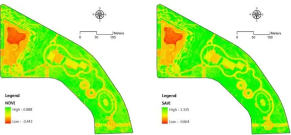 Fig. 3. Remotely sensed NDVI and SAVI data driven by drone.