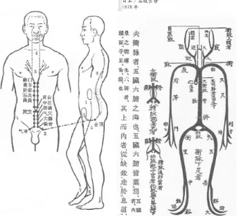 Fig. 3. 衝脉의 경맥유주도(圖. 상해중의학원 편. 침구학, 12)  中國鍼灸四大通鑒에 있는  ≪古診脈說≫  衝脉圖. 13) 어 경맥의 유주에 영향을 미치게 되고, 특히 임맥의 기시부 인 하복부는 전신의 중심점을 이루어서 단전이라고 칭하는  바, 임맥은 하복부의 하단전과 중단전을 지나 염천부위에서 턱을 지탱하는 힘의 중심을 이루고 균형을 이루게 된다.3