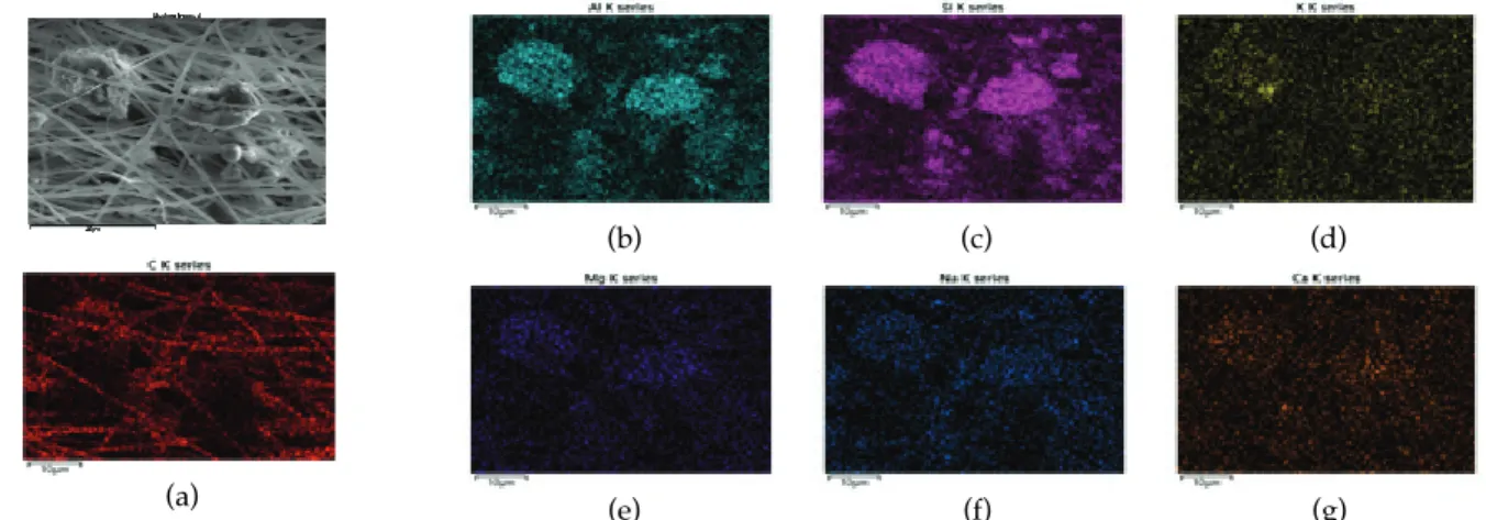 Fig. 2. EDS elemental mapping of 20 wt%(z/DMF). (a) C mapping, (b) Al mapping, (c) Si mapping, (d) K mapping,  (e) Mg mapping, (f) Na mapping, (g) Ca mapping.