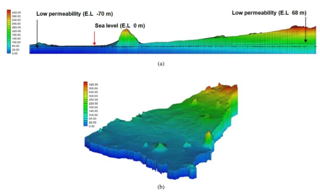 Fig. 4. Dae-jeong watershed based on front view (b) and active cells (a).