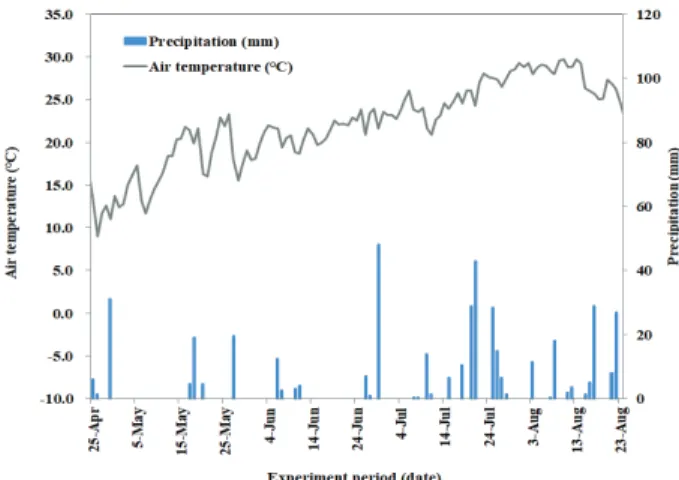 Fig. 1. Daily precipitation (mm) and daily average air  temperature  ( ℃) throughout the experimental  period.