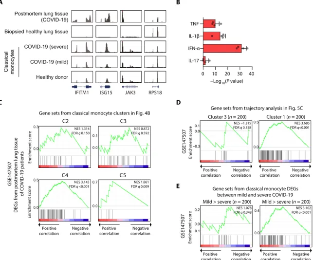 Fig. 6. Validation of the combined IFN-I and inflammatory responses in the transcriptome of postmortem lung tissues from lethal COVID-19
