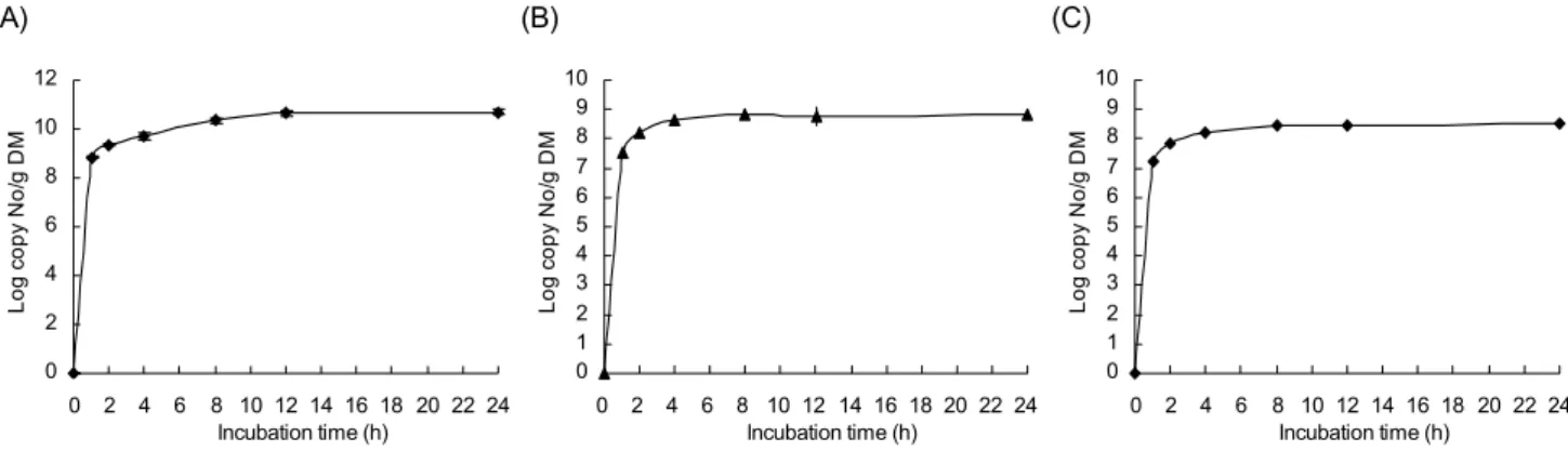Fig. 2. The population changes of F. succinogenes (A),  R. flavefaciens (B),  R. albus (C) attached on rice straw in  time course during the in situ rumen incubation.