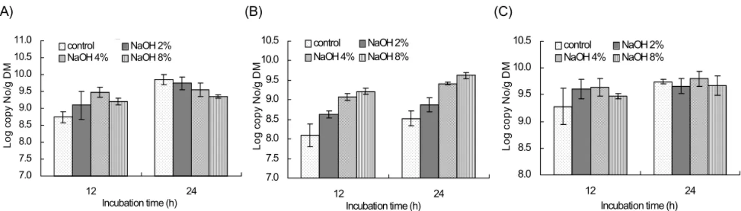 Fig. 4. The  in situ DM disappearance of rice straw by  NaOH treatments. 3. 농도별  가성소다  처리볏짚의  섬유소  분해  박테리아 부착  및  In situ  소실율반추위내  조사료의  소화  용이성에  따른  섬유소  분해  박테리아의  부착  정도를  관찰하기  위하여  볏짚의  가성소다 처리  농도에  따른  볏짚의  소화와  부착  섬유소  분해  박테리아의  군집  변화를  관측한  
