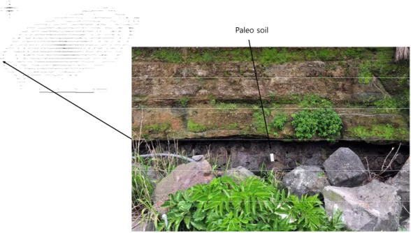 Fig. 1. Sampling site of paleo soil.