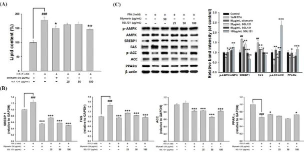 Figure 8. Effects of SGL 121 on lipid accumulation and lipogenesis in HepG2 Cells. (A) Lipid  accumulation of Oil red O contents was quantified by spectrophotometric analysis, (B) relative mRNA  levels of SREBP-1, FAS, acetyl CoA carboxylase (ACC), and per