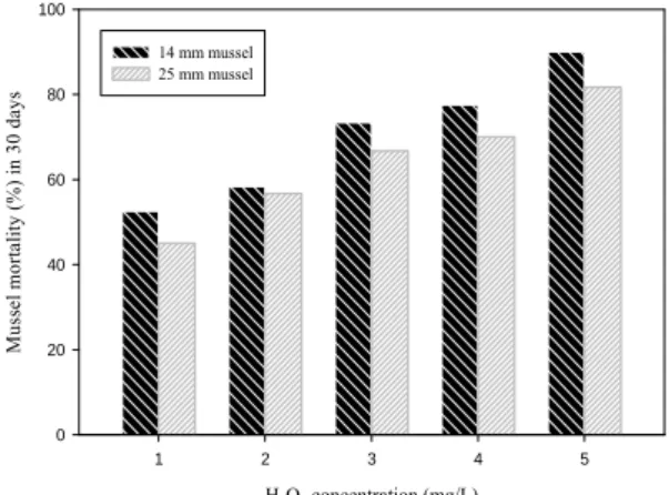 Fig. 6. Mortality of mussel`s larvae comparison between  H 2 O 2  and combined treatment.