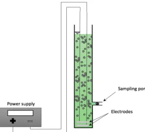 Fig. 1. Schematic diagram of microalgae removal by electro  flotation.