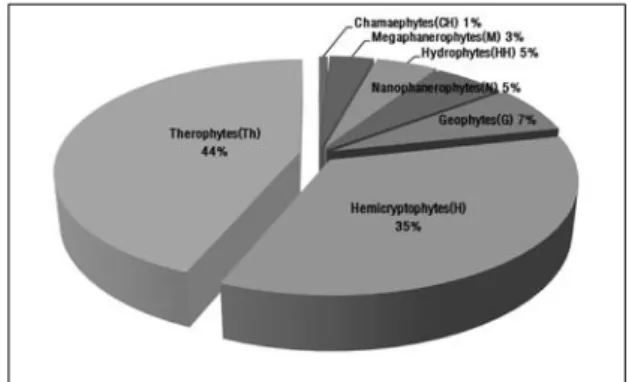Fig.  4  The  ratio  of  life  form  at  Conventional  Rice  Paddy  field.