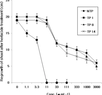 Fig. 2. Shoot regrowth of non-transgenic (NTP) and  transgenic (TP) bentgrass treated with different  dosage of glyphosate.