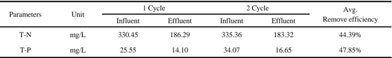 Fig. 4. T-P concentration changes during operation time at  Condition 1.