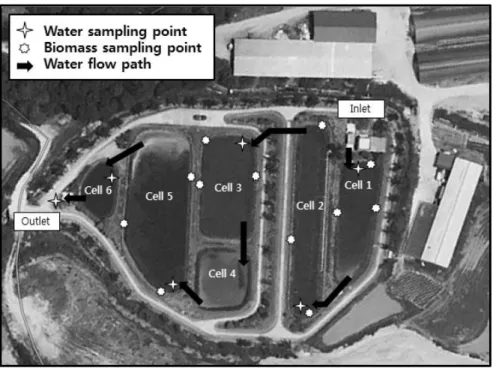 Fig.  2  Sampling  points  for  water  quality  and  plant  samples