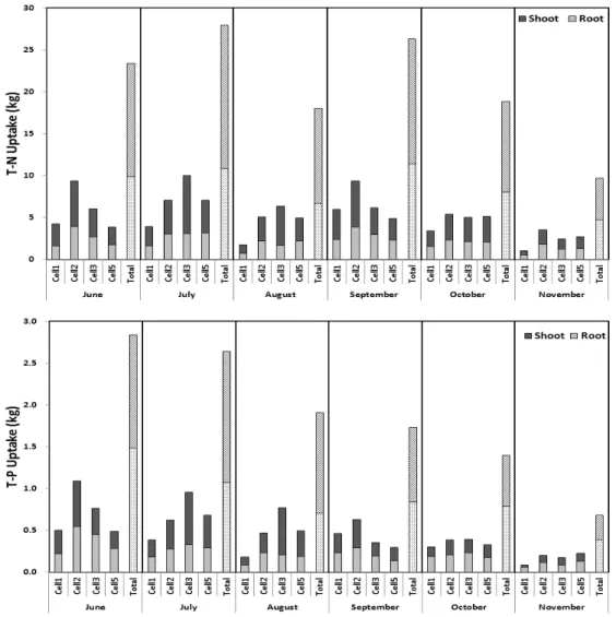 Fig.  4  T-N  and  T-P  uptake  of  plants  in  the  constructed  wetland 함량을  22.0  ∼  23.3,  11.2  ∼  13.1  ㎎/g으로,  인 의  함량은  7.5  ∼  8.4,  3.4  ∼  5.2  ㎎/g으로  규명 하였다