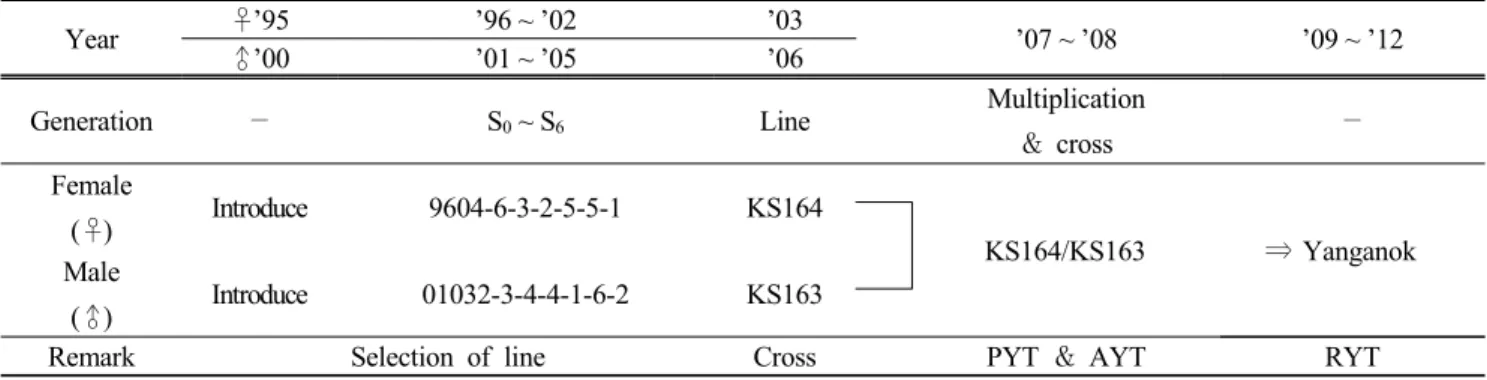 Fig. 1. Breeding procedure of Yanganok