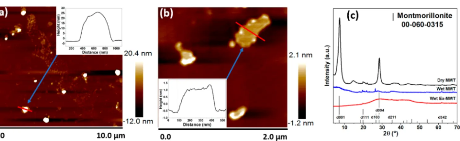 Figure 2. Tapping-mode AFM images of (a) pristine MMT and (b) Ex-MMT nanosheets deposited on fresh mica