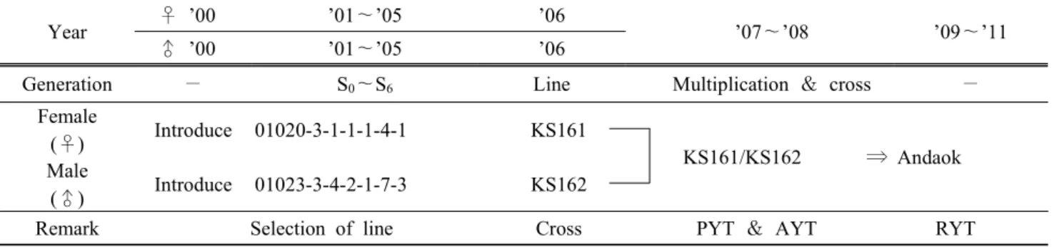 Fig.  1.  Breeding  procedure  of  Andaok.