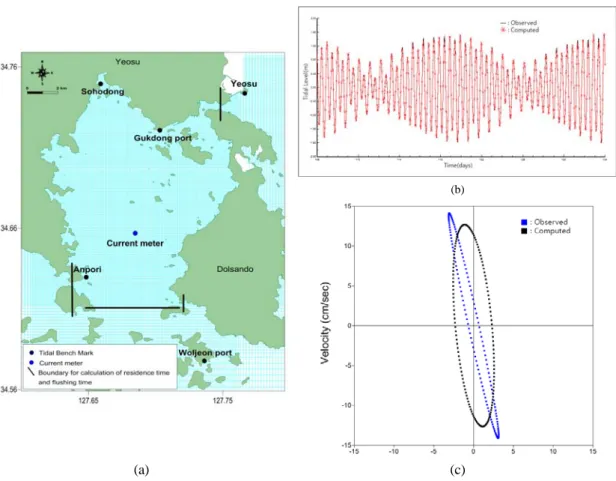 Fig. 1. (a) Computational grid of Gamak bay and the sites of tidal bench mark and current measurement