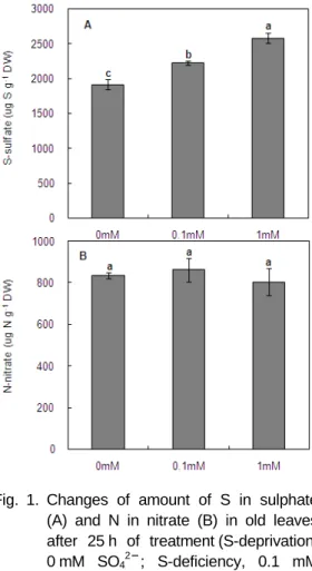 Fig. 1. Changes of amount of S in sulphate  (A) and N in nitrate (B) in old leaves  after 25 h of treatment (S-deprivation,  0 mM SO 4