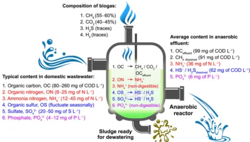Fig. 1 Conceptual layout of wastewater treatment technologies based on anaerobic digestion processes