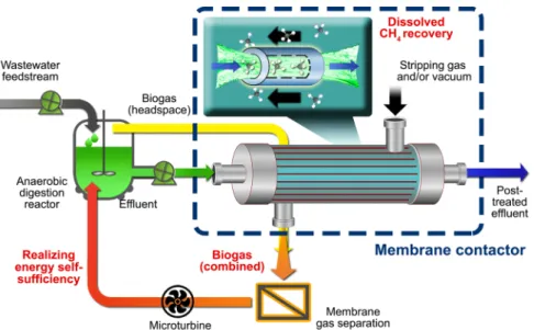 Fig. 3 Illustration showing retroﬁtting of the membrane contactor unit within the anaerobic digestion and membrane separation processes
