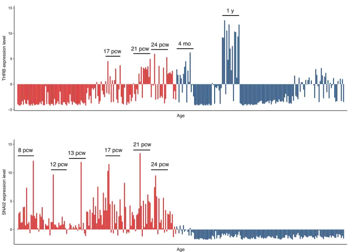 Fig. 5. Evolutionary patterns of DHS sequences.  (A) Regional conservation (average phastCons score) in the primate clade for the DHSs 