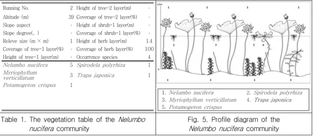 Table  1.  The  vegetation  table  of  the  Nelumbo  nucifera   community 
