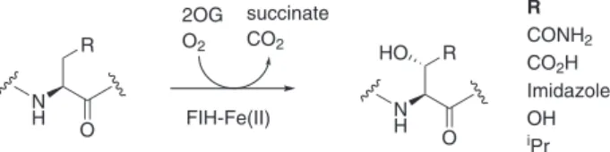 Fig. 1 Reactions catalysed by FIH. FIH is a 2OG oxygenase catalyzing the posttranslational C3 hydroxylation of ( L)-residue substrates including the hypoxia-inducible factor α-subunits (HIFα; R = CONH 2 ) and ankyrin repeat
