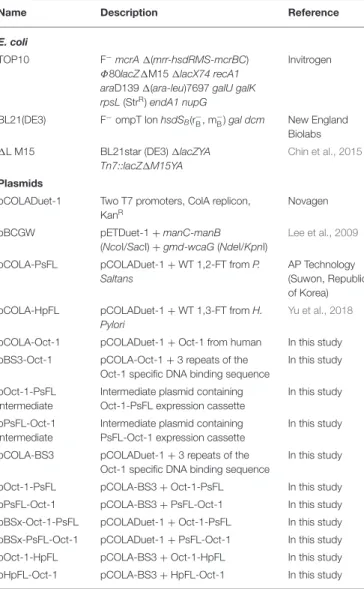 TABLE 1 | E. coli strains and plasmids used in this study.
