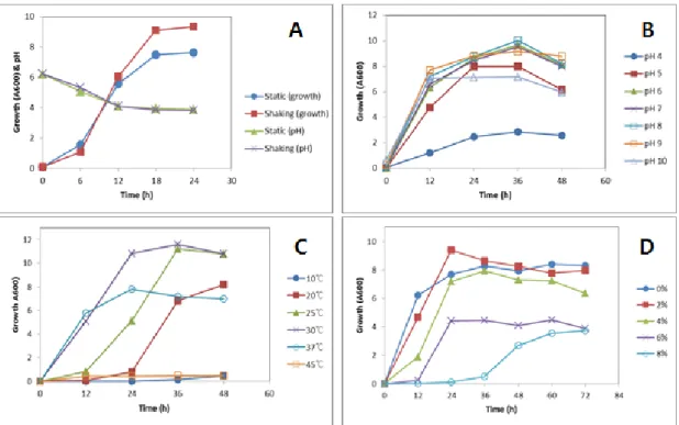 Fig. 2. Effect of culture mode (A), initial pH (B), temperature (C) and NaCl concentration (D) on cell growth of  Lactobacillus plantarum K2.