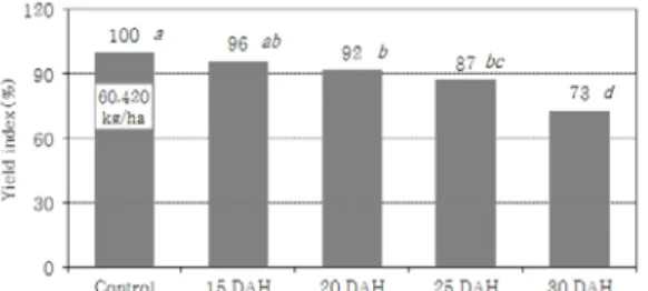 Fig. 5. Fresh yield of barley and corn by  different harvesting/sowing dates at  paddy field