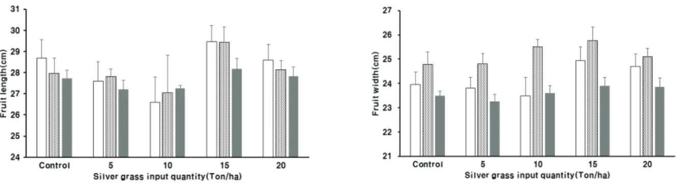 Fig. 7. Changes of fruit length and fruit width of watermelons at harvest stage as influenced by different amounts of  silver grass application