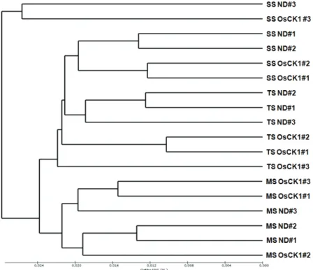 Fig. 2. A UPGMA dendrogram based on the unweighted pair‐wise Fast UniFrac distances between  the bacterial communities in the ND and OsCK1 rice soil samples