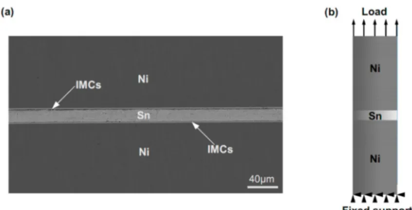 Figure 1. (a) cross-sectional SEM image of Ni/Sn/Ni samples after a standard reflow; (b) schematic
