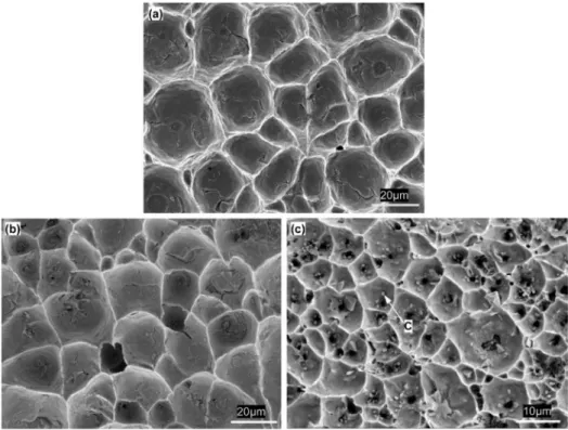 Figure 7 shows representative fracture surfaces of micro-joints with various IMC volumes after tensile testing