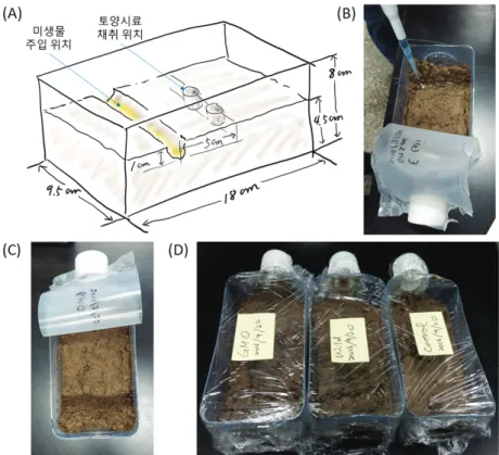 Fig. 1. Experimental setup for the microorganism’s migration in the laboratory soil. 토양을  다시  덮어  실험실  상온에  배양하였다(Fig