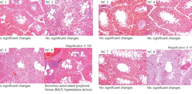 Fig. 17 Diagnosis of lung tissue samples according to spreading methods for bedding materials at farm B