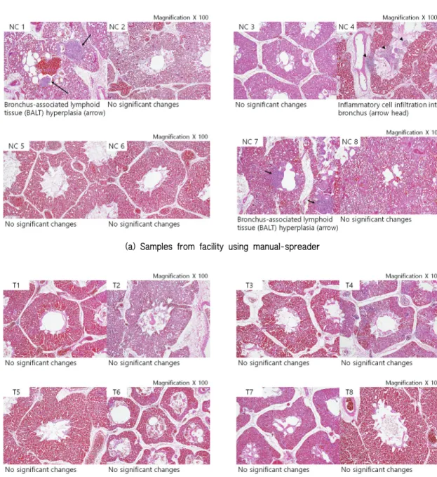 Fig. 18 Diagnosis of lung tissue samples according to spreading methods for bedding materials at farm C