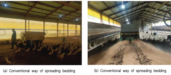 Fig. 8 Conventional way of spreading bedding materials at B and C farm(a) Operating scene of automatic-spreader for 