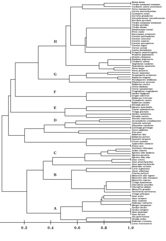 Fig.  2.  Dendrogram  of  avian  species  in  the  study  areas.