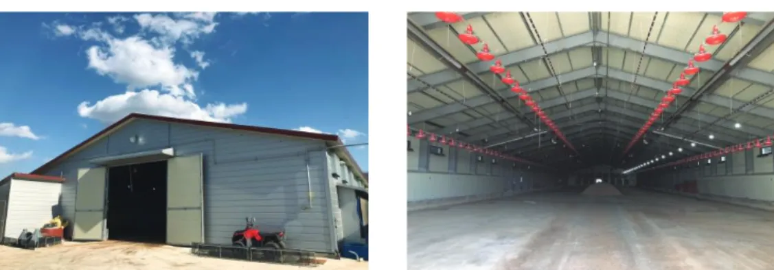 Fig. 1 External and internal view of experimental broiler house