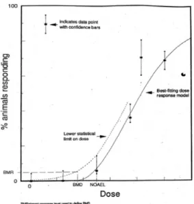 Fig. 2. NOAEL and BMD for OEL estimation (EPA, 1995).