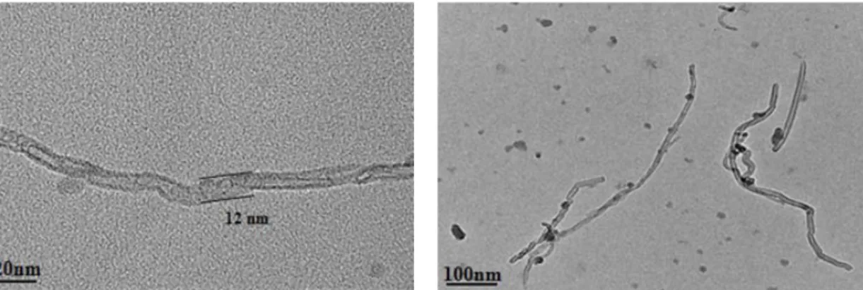 Fig. 4. TEM image of MWCNT used for inhalation toxicity test.