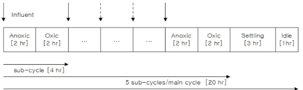 Fig. 1. Operating schedule of SBR.