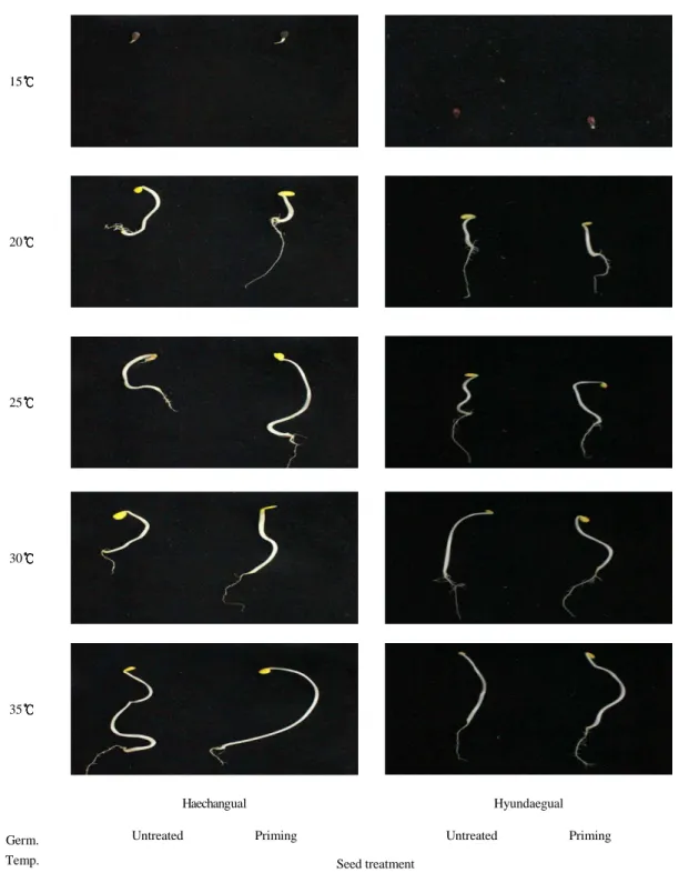 Fig. 1. Effect of germination temperature on seedling growth of primed 'Hyundaegual' and 'Speed’ watermelon seeds
