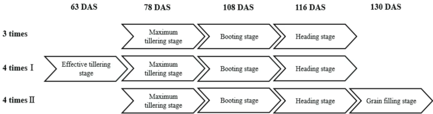 Fig. 2. Foliar application time and times in rice plant with organic Se. DAS, days after sowing.