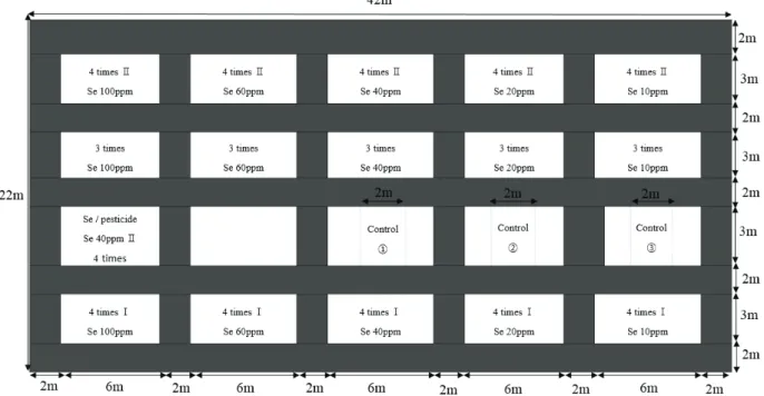 Fig. 3. Disposition of experimental plot for rice cultivation and organic Se treatment in paddy field