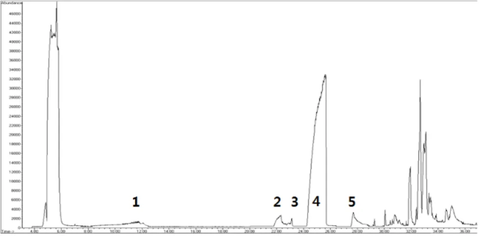Fig. 7. Temporal profiles of mass of NO 3