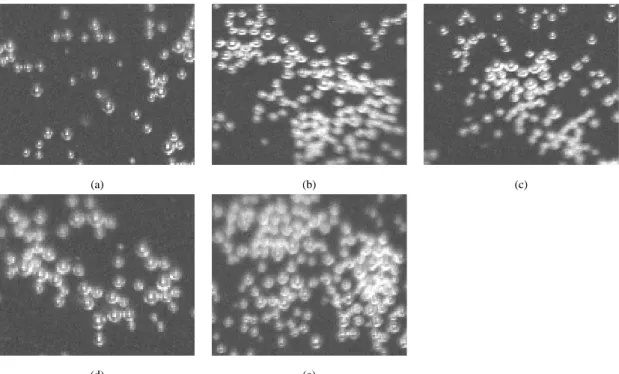 Fig. 1. Microbubbles image of (a) Microbubbles(Nomal), (b) 36  Microbubbles(Vortex), (c) 100  Microbubbles  (Vortex), (d) 200  Microbubble(Vortex), (e) Pilot plant Microbubble(Vortex).