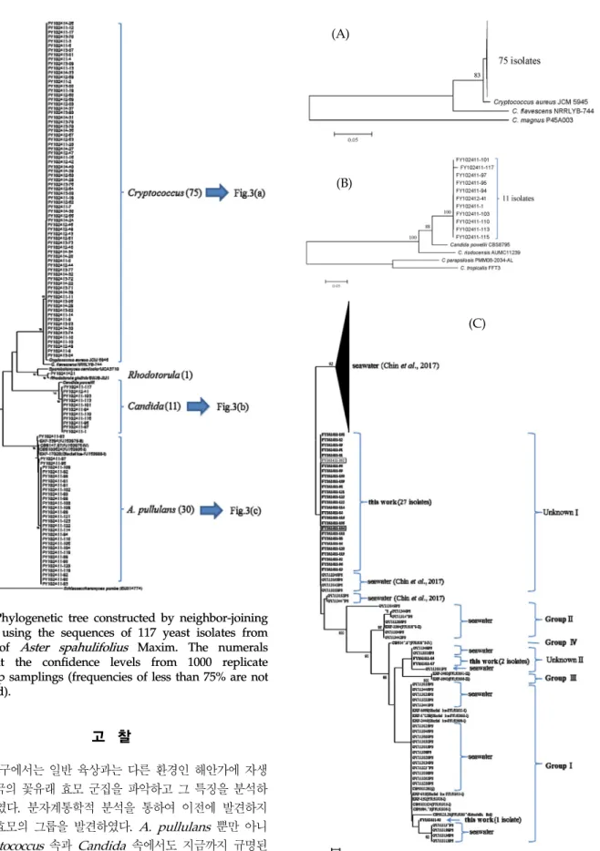 Fig. 2. Phylogenetic tree constructed by neighbor-joining method using the sequences of 117 yeast isolates from  flower of Aster spahulifolius Maxim